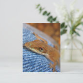 Green Anole Lizard Postkarte (Stehend Vorderseite)