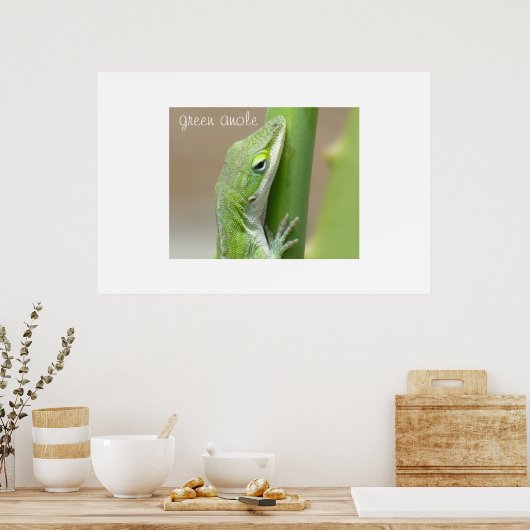 Green Anole Poster (Küche)
