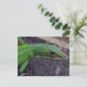 Green Anole Postkarte (Stehend Vorderseite)