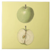 Green Apple Botanical Tile ~ Küche ~ Farbe ~ Fliese (Vorderseite)