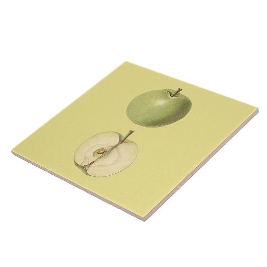 Green Apple Botanical Tile ~ Küche ~ Farbe ~ Fliese (Seite)