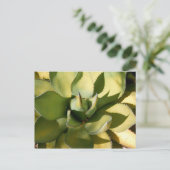 "Green Arizona" Postkarte (Stehend Vorderseite)