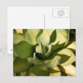 "Green Arizona" Postkarte (Vorne/Hinten)