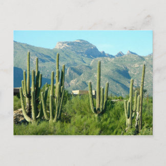 "Green Arizona" Postkarte