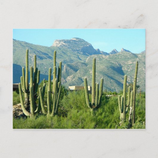 "Green Arizona" Postkarte (Vorderseite)