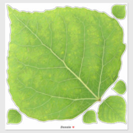 Green Aspen Leaf #11 Aufkleber