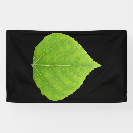 Green Aspen Leaf #11 Banner (Horizontal)