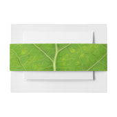 Green Aspen Leaf #11 Einladungsbanderole (Vorderseite Beispiel)