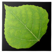Green Aspen Leaf #11 Fliese (Vorderseite)