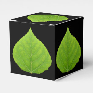 Green Aspen Leaf #11 Geschenkschachtel