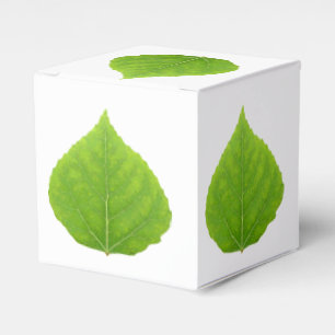 Green Aspen Leaf #11 Geschenkschachtel