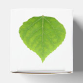 Green Aspen Leaf #11 Geschenkschachtel (Oben)