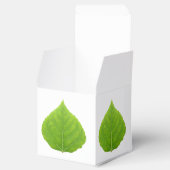 Green Aspen Leaf #11 Geschenkschachtel (Geöffnet)
