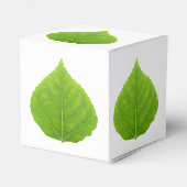 Green Aspen Leaf #11 Geschenkschachtel (Rückseite)