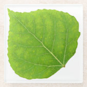 Green Aspen Leaf #11 Glasuntersetzer (Vorderseite)