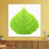 Green Aspen Leaf #11 Leinwanddruck (Insitu (Wohnzimmer))
