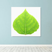 Green Aspen Leaf #11 Leinwanddruck (Insitu (Holzboden))