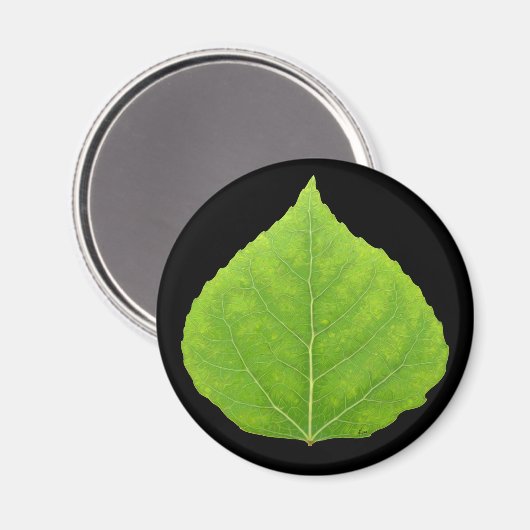 Green Aspen Leaf #11 Magnet (Vorderseite/Rückseite)