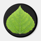 Green Aspen Leaf #11 Magnet (Vorne)