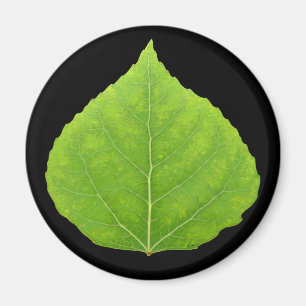 Green Aspen Leaf #11 Magnet