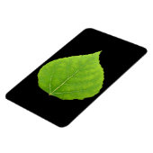 Green Aspen Leaf #11 Magnet (Linke Seite)