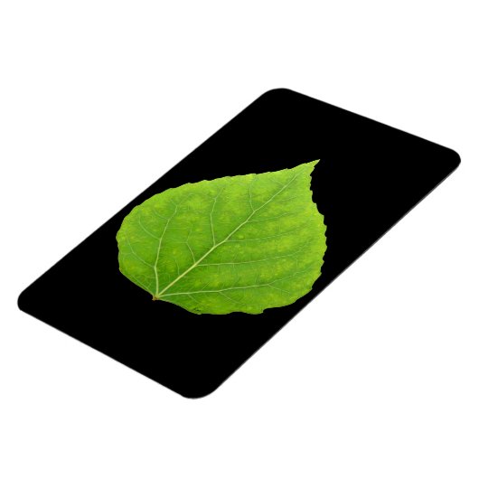Green Aspen Leaf #11 Magnet (Linke Seite)