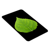 Green Aspen Leaf #11 Magnet (Rechte Seite)