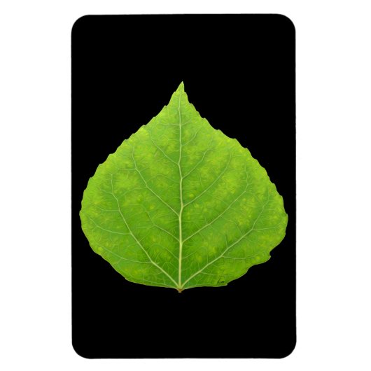 Green Aspen Leaf #11 Magnet (Vertikal)