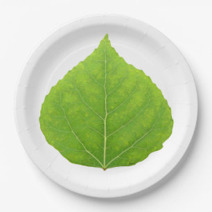 Green Aspen Leaf #11 Pappteller