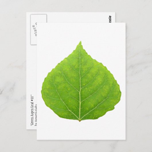 Green Aspen Leaf #11 Postkarte (Vorne/Hinten)