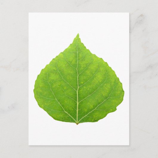 Green Aspen Leaf #11 Postkarte (Vorderseite)