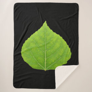 Green Aspen Leaf #11 Sherpadecke
