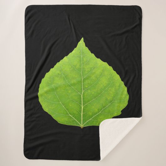 Green Aspen Leaf #11 Sherpadecke (Vorderseite)