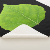 Green Aspen Leaf #11 Sherpadecke (3/4)