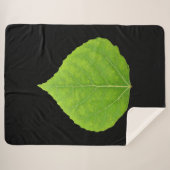 Green Aspen Leaf #11 Sherpadecke (Vorderseite (Horizontal))