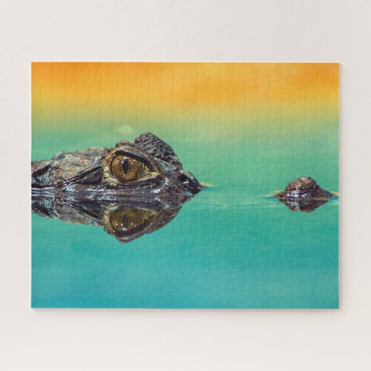 Green Baby Crocodile in Water mit Blau und Orange Puzzle (Horizontal)