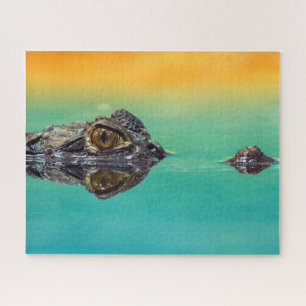 Green Baby Crocodile in Water mit Blue und Orange Puzzle