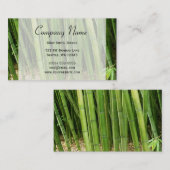 Green Bamboo Asian Visitenkarte (Vorne/Hinten)