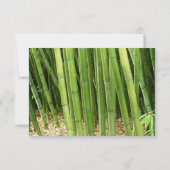 Green Bamboo Asian Wedding Response Card RSVP Karte (Rückseite)