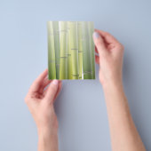 Green Bamboo Grove Wellness-Center Skin Care Massa Flyer (Gruppe)