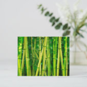 Green Bamboo Postkarte (Stehend Vorderseite)