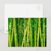 Green Bamboo Postkarte (Vorne/Hinten)