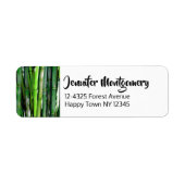 Green Bamboo Stalks Naturfotografie (Vorne)