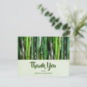 Green Bamboo Stalks Naturfotografie Danke Postkarte (Stehend Vorderseite)