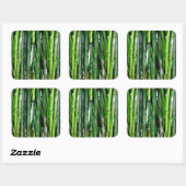 Green Bamboo Stalks Naturfotografie Quadratischer Aufkleber (Blatt)