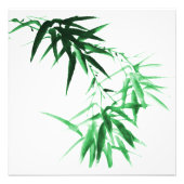 Green Bamboo Twig Fotodruck (Vorne)