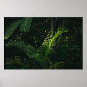 GREEN BANANA TREE DURING DAYTIME POSTER