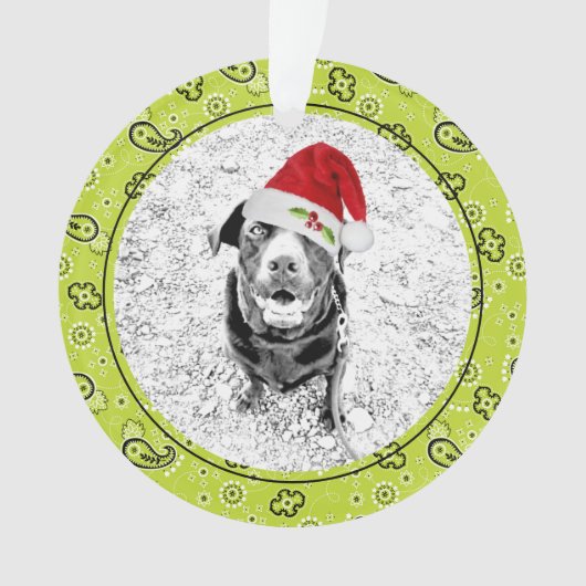 Green Bandana Pet Foto NAME Weihnachtsspass Ornament (Vorderseite)