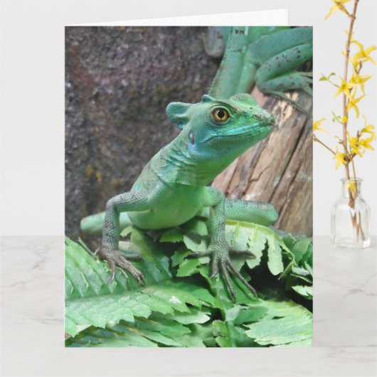 Green Basilisk Karte (Gelbe Blume)