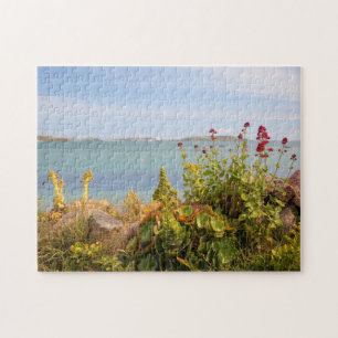 Green Bay, Bryher Puzzle